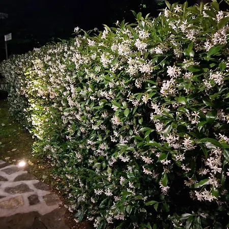 B&B Casa Tessieri 루카